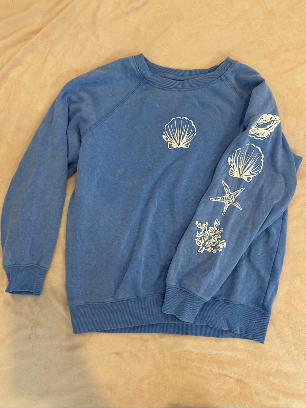 art class Seashell Sweatshirt size xl girls